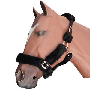Cabestro de lana negra para caballo con hebillas doradas y correas ajustables para equitación - Product Image 1