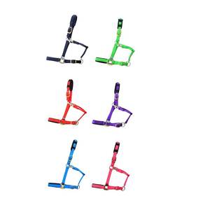 Harnais tissé pour cheval avec boucles dorées et sangles réglables en plusieurs couleurs pour l'équitation - Product Image 2