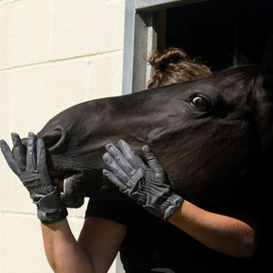 English Western Riding & Professional Horse <b>Trainers</b> High Quality Horse Riding Gloves with Flexible Fit and Best Material - Product Image 2