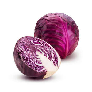 <b>Fresh</b> Egyptian Purple Cabbage Class A New Crop Premium Quality <b>Vegetable</b> Wholesale Export - Product Image 4