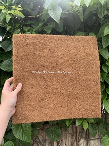 Tapis de culture carré pré-découpé en fibre de coco pour semis de micro-pousses en intérieur, substrat végétal naturel, taille personnalisée, coco microgreen - Product Image 6