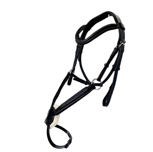 BRIDE GRACKLE NOIRE-POINT FANTAISIE - Product Image 1