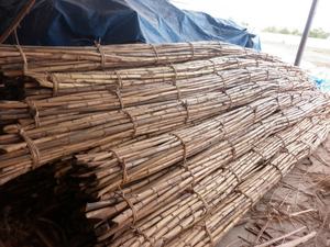 Rotin brut de première qualité, matériau de qualité supérieure pour meubles, poteau en rotin, produit agricole - pour la fabrication de meubles, marque EUTECH, Vietnam - Product Image 4