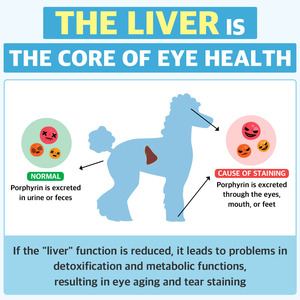 DRBY-70 friandises pour animaux de compagnie à mâcher, formule naturelle, pour soutenir la santé des yeux et la vision du chien, supplément pour enlever les taches de larmes des chiots - Product Image 3