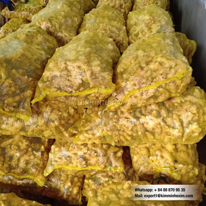 Gingembre frais du Vietnam – Racine entière pour les marchés internationaux - Product Image 5