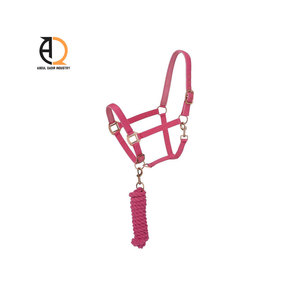 Harnais en cuir pour cheval, conçu sur mesure, bride d'équitation pour courses de chevaux, boucle en métal personnalisée - Product Image 3