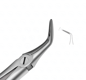 คีมถอนฟันม้าคุณภาพพรีเมียม เครื่องมือถอนฟันสำหรับสัตว์ - Product Image 5