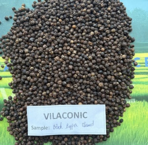 Poivre noir de qualité supérieure 500, 600GL FAQ - Nouvelle récolte 2026 - Prix le plus bas - Épices Vilaconic (Joice) - Product Image 5