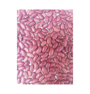 ถั่วแดงแห้งทรงยาวแบบขายส่ง ถั่วแดงอังกฤษสำหรับส่งออก - Product Image 1