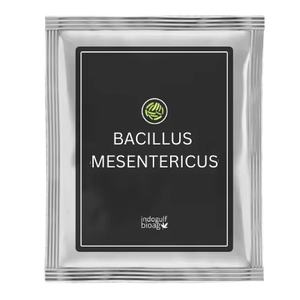 Supplément alimentaire probiotique Bacillus Mesentericus de la marque IGC, produit le plus vendu - Product Image 1