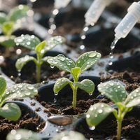 Machine de semis automatique pour grandes bacs de semis avec remplissage de terre, ligne de semis et table d'irrigation goutte à goutte à flux et reflux pour bacs de légumes