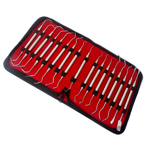 Juego de Instrumentos Dentales Profesionales de Acero Inoxidable, Diseñado para Procedimientos Clínicos, Incluye Sondas para Mediciones Precisas - Product Image 1