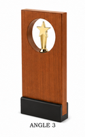 Trophée étoile en bois avec gravure pour les sports et les jeux, plaque de récompense durable
