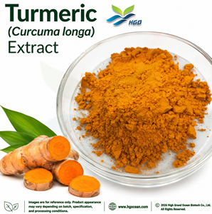 Suministro Directo de Fábrica HGO, Extracto de Cúrcuma (Curcuma Longa) en Polvo (Grado Alimenticio), Curcuminoides/Curcumina 95% (Extracto Estandarizado) - Product Image 1
