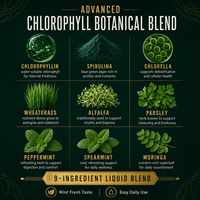 Formule Personnalisée Gouttes Liquides de Chlorophylle Naturelle avec Extrait de Moringa et de Menthe Verte pour le Soutien Immunitaire Adulte et la Fraîcheur Quotidienne OEM