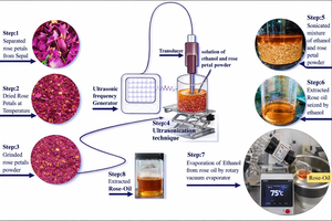 โรสแอบโซลูท (โรซา ดามาสเซน่า) ผู้ผลิตขายส่ง – เกรดน้ำหอมคุณภาพสูง |   ผู้จัดจำหน่ายส่งออกสินค้าขายส่งจากอินเดีย - Product Image 4