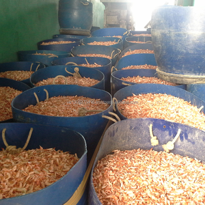 Poudre de coquilles de crevettes premium du Vietnam – Source naturelle de calcium et de chitine pour l'alimentation du bétail, de la volaille et de l'aquaculture - Product Image 3
