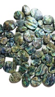 Perles de coquille d'ormeau naturelles de haute qualité, tailles variées, magnifiques couleurs arc-en-ciel naturelles, violet, vert, couleur paon, pour la fabrication de bijoux