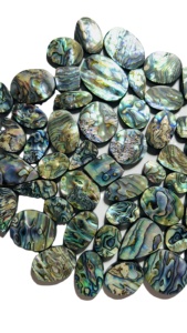 Cuentas de Concha de Abulón Natural de Alta Calidad, Tamaños Variados, Hermoso Color Arcoíris Natural, Púrpura, Verde, Color Pavo Real, para la Fabricación de Joyas - Product Image 4