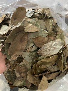 Vietnam Factory Dried Soursop Leaves Natural Herbal <b>Tea</b> Leaves Bulk Manufacturer Supplier Export - Product Image 4