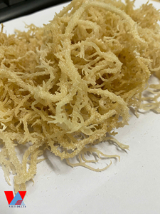 Algues Marines Séchées Biologiques AD de Haute Qualité, Assaisonnées, en Sac – Contactez Mme Lily – Certifiées HACCP - Product Image 3