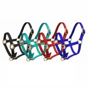 Harnais en nylon réglable de qualité supérieure pour l'équitation, taille personnalisée, collier en nylon pour cheval, équipement équestre, accessoires pour chevaux - Product Image 2