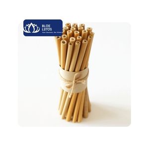 [MEILLEURES VENTES] Ensemble de pailles en bambou - Écologique et réutilisable pour les smoothies et les boissons aux fruits, utilisation en restauration, origine Hanoi - Product Image 1