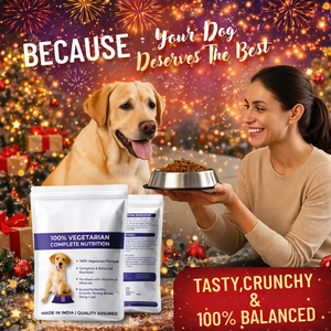 Alimento Seco para Perros de Alta Proteína de Marca Privada, Sin Granos, Nutrición Diaria Completa para Todas las Razas, Suministro de Fábrica OEM - Product Image 4