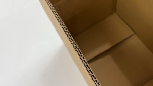 Boîte d'emballage en carton durable et écologique pour mangues, en matériau recyclé, pour l'exportation de fruits frais et de produits agricoles - Product Image 3