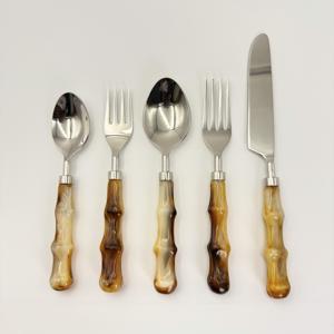 Cubiertos de Acero Inoxidable con Asas de Resina, Juego de Cubiertos con Acabado Espejo, Estilo Moderno - Product Image 1