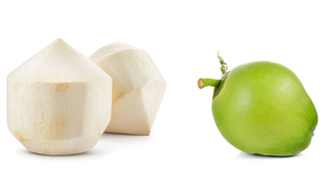 Agua de Coco Fresca Premium de Vietnam con Agua Aromática para Producción de Bebidas, Uso en Distribución Minorista - Product Image 3