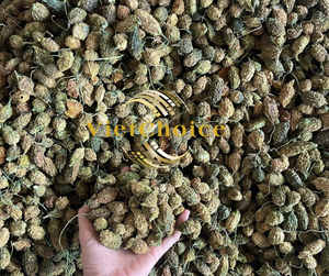 Rodajas de Melón Amargo Silvestre Deshidratado para Té, Ingrediente Natural para Bebidas, Exportación a Granel desde Fábrica en Vietnam - Product Image 2
