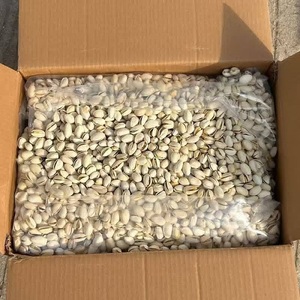 Raw Dried Organic Pistachio Nuts Gourmet Snacking Baking Cakes <b>Cookies</b> Desserts Ice Cream Toppings Premium Food Preparation - Product Image 1