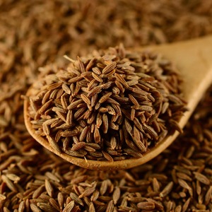 เมล็ดยี่หร่าบริสุทธิ์ 100% สำหรับการจัดหาส่วนผสมขายส่ง พร้อมกลิ่นหอมสดชื่นและคุณภาพคัดสรรอย่างพิถีพิถันเพื่อคุณภาพระดับพรีเมียม - Product Image 3