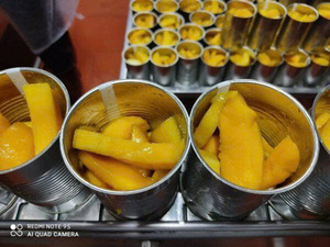 Mango en Rodajas Enlatado en Almíbar para Exportación - La Mejor Calidad de Vietnam - Marca Viet Delta - Sra. Shyn - Product Image 2