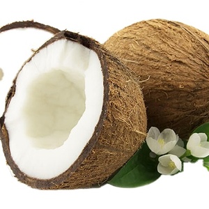 Noix de coco séchée à usage alimentaire importée du Vietnam fabriquée par Vietdelta - Product Image 1