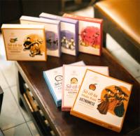 Chocolat de Luxe au Goût de Mangue, Meilleure Vente, Haute Qualité, Vietnam ZOOM VIETNAM, 10 Ans d'Expérience
