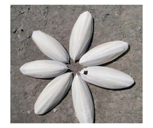 Os de seiche de haute qualité, producteur vietnamien pour l'exportation - Os naturel pour l'alimentation des oiseaux et les fournitures pour animaux de compagnie - Product Image 1