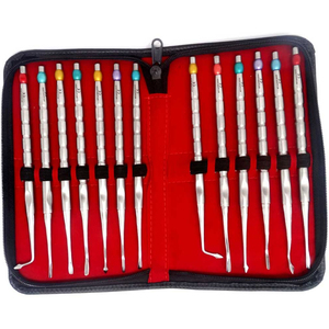 Kit de 13 instruments chirurgicaux dentaires en acier inoxydable, élévateurs manuels luxateurs, certifié CE, stérilisable, kit de précision - Product Image 4