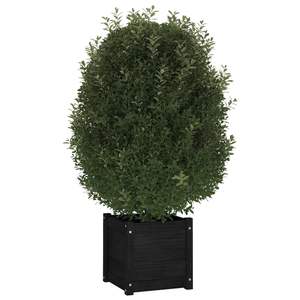 Jardinières en pin massif noir 15,7 po x 15,7 po x 15,7 po – Pots et jardinières à fleurs - Product Image 3