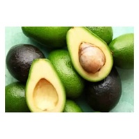 Diepvries Avocado Tropisch Fruit AVO Halve Pit IQF Vriesproces 25kg voor Smoothies, Desserts en Voedselverwerking