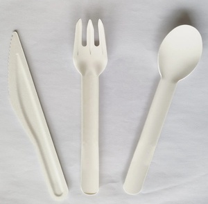 Fourchette à dessert écologique jetable pour les comptoirs de boulangerie et les cafés, fourchette de 155 mm pour les fêtes en plein air et les services de restauration à emporter - Product Image 5