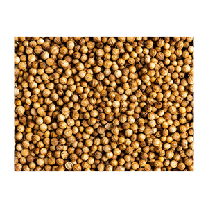 Semillas de Cilantro Secas de Calidad Natural, Paquete a Granel de 100 kg, con 2 Años de Vida Útil - Mejor Precio - Product Image 1