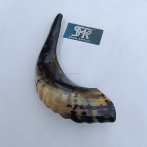 Instrument de cérémonie juif traditionnel Shofar en corne de bélier fait à la main pour les rassemblements religieux rituels à consonance spirituelle - Product Image 6