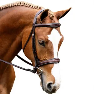 Bridon d'équitation en cuir anglais avec frontal en cristal, rênes assorties, muselet rembourré, sangles réglables, équipement équestre haut de gamme - Product Image 1