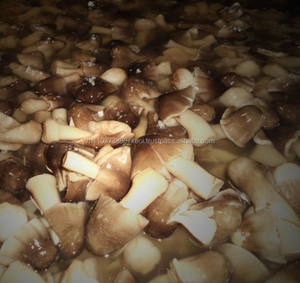 Champignons Salés de Haute Qualité – Conservation Naturelle, en Saumure, Longue Durée de Conservation // Mr.Tom - Product Image 1