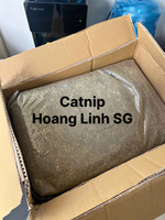 Herbe à chat naturelle fraîche et écologique pour chats et chatons du Vietnam HOANG LINH SG