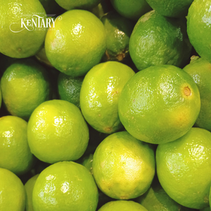 Limones Verdes Frescos de Granja Premium, Alto Contenido de Brix, Rico Aroma Cítrico, Suministro a Granel para Cocinar y Hacer Jugos - Product Image 3