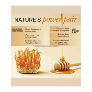 Natural Fulvic Acid Rich Supplement for Energy Immunity and Men's Health Support - Product Image 5