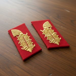 แท็บปลอกคอ OEM พร้อมกระดุมทองเหลืองแผ่นปะติดปลอกคอเครื่องแบบเจ้าหน้าที่พร้อมคลิปทองเหลืองสีทองด้านหลัง - Product Image 4